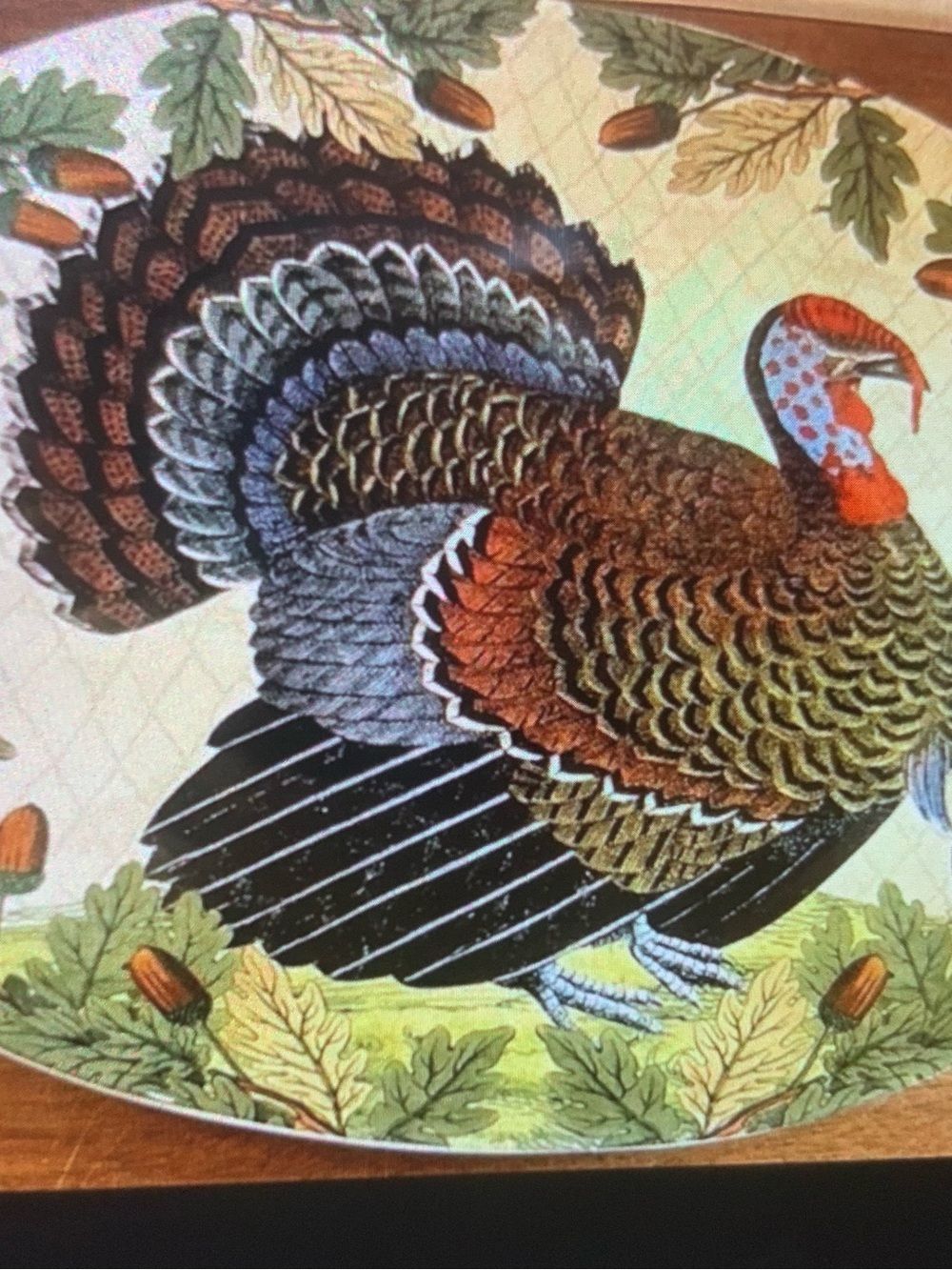 Festive Multicolor Turkey Serving Platter – Turkey Motif